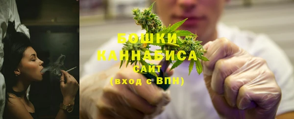 ГАЛЛЮЦИНОГЕННЫЕ ГРИБЫ Михайлов