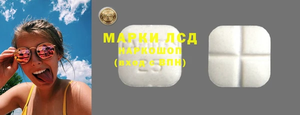 ГАЛЛЮЦИНОГЕННЫЕ ГРИБЫ Михайлов