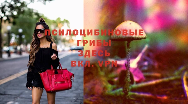 ГАЛЛЮЦИНОГЕННЫЕ ГРИБЫ Михайлов